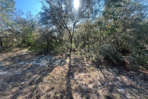 Terreno en venta en Ocala, Florida № 1534509 - foto 10