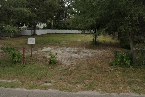 Land in Tampa, Florida № 2111093