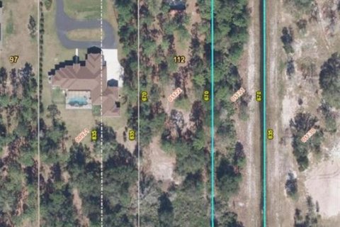 Land in Orlando, Florida № 2098845 - photo 6
