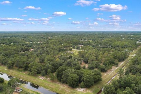 Terrain à Orlando, Floride № 2098845