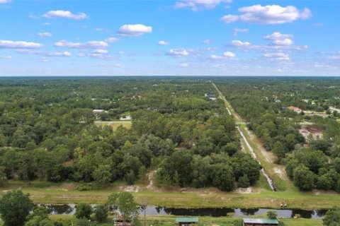 Land in Orlando, Florida № 2098845 - photo 2