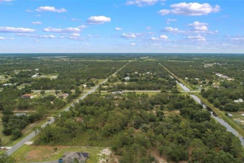 Land in Orlando, Florida № 2098845 - photo 3