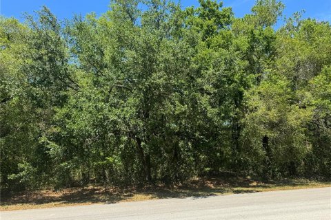 Land in Longwood, Florida № 1719221 - photo 16