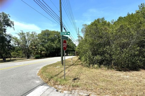 Land in Longwood, Florida № 1719221 - photo 18