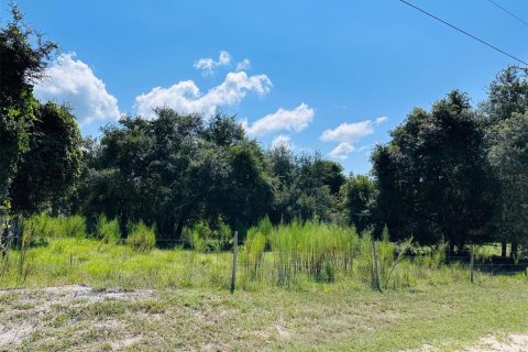 Terreno en venta en Chiefland, Florida № 1898894 - foto 1