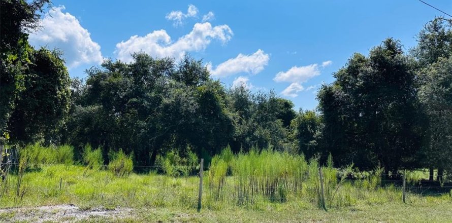 Terreno en Chiefland, Florida № 1898894