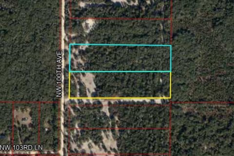 Terreno en venta en Chiefland, Florida № 1898894 - foto 5