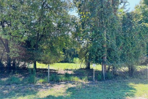 Terreno en venta en Chiefland, Florida № 1898894 - foto 3