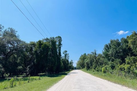 Terreno en venta en Chiefland, Florida № 1898894 - foto 4