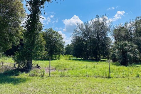 Terreno en venta en Chiefland, Florida № 1898894 - foto 2