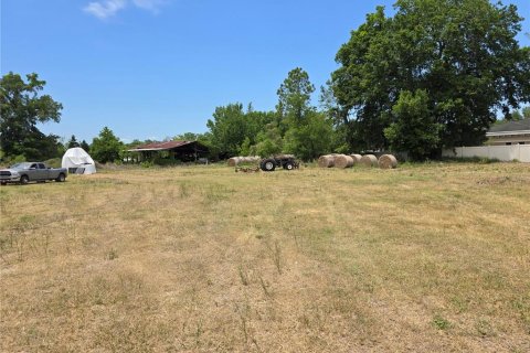 Commercial property in Oxford, Florida № 1658706 - photo 8
