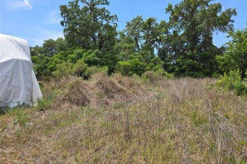 Commercial property in Oxford, Florida № 1658706 - photo 15