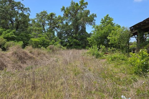 Commercial property in Oxford, Florida № 1658706 - photo 14