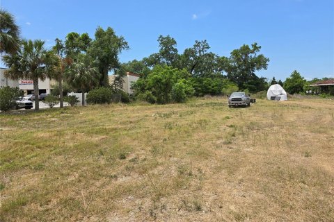 Commercial property in Oxford, Florida № 1658706 - photo 6