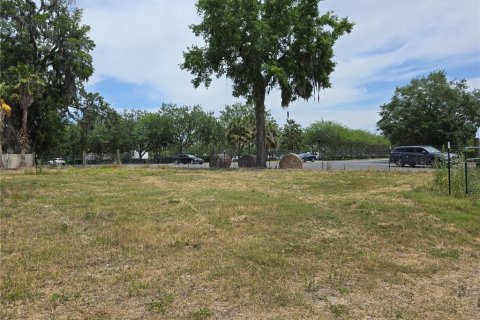 Commercial property in Oxford, Florida № 1658706 - photo 2