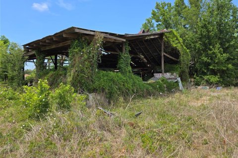 Commercial property in Oxford, Florida № 1658706 - photo 13