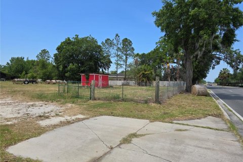 Commercial property in Oxford, Florida № 1658706 - photo 19