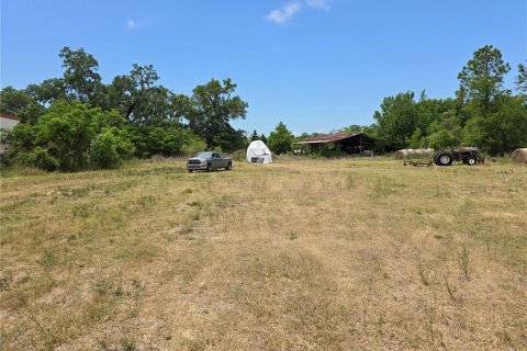 Commercial property in Oxford, Florida № 1658706 - photo 7