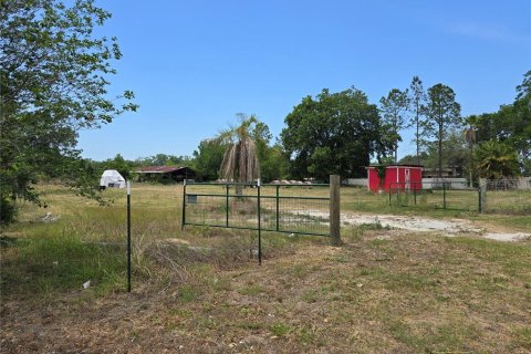 Commercial property in Oxford, Florida № 1658706 - photo 17