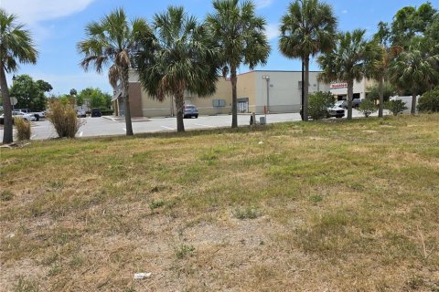 Commercial property in Oxford, Florida № 1658706 - photo 5