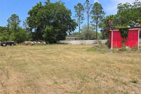 Commercial property in Oxford, Florida № 1658706 - photo 9