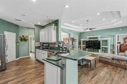 Villa ou maison à vendre à Lakeland, Floride: 4 chambres, 214.98 m2 № 2416245 - photo 13