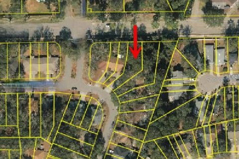 Land in Jacksonville, Florida № 2165631 - photo 3
