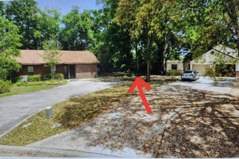 Land in Jacksonville, Florida № 2165631