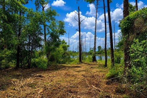 Land in Deltona, Florida № 2125982 - photo 2