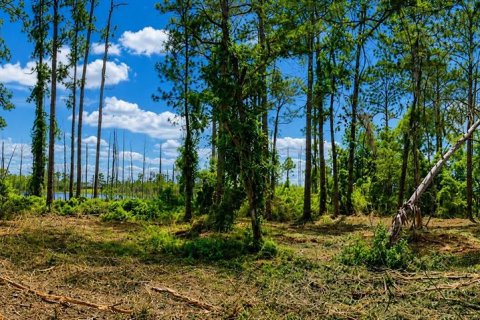 Land in Deltona, Florida № 2125982 - photo 1