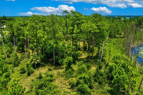 Land in Deltona, Florida № 2125982 - photo 3