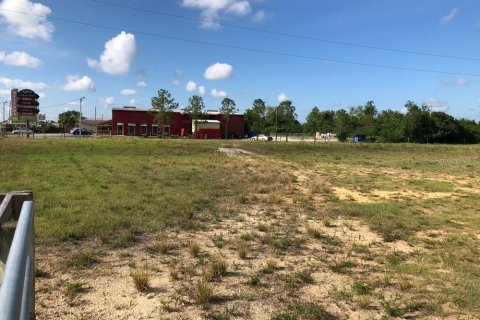 Terreno en venta en Haines City, Florida № 2121801 - foto 23