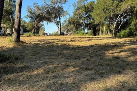 Terrain à vendre à Apopka, Floride № 2213258 - photo 4