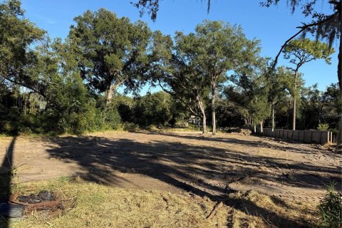 Terrain à vendre à Apopka, Floride № 2213258 - photo 3