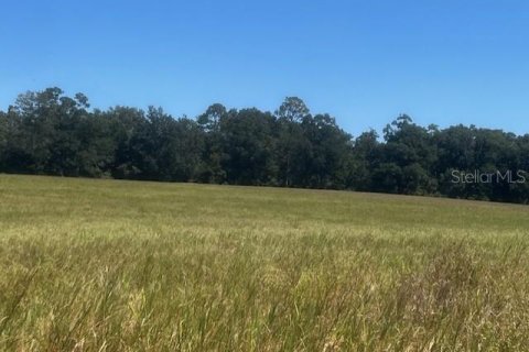 Terreno en venta en Bell, Florida № 1905176 - foto 2