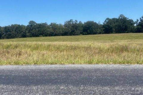 Terreno en venta en Bell, Florida № 1905176 - foto 1