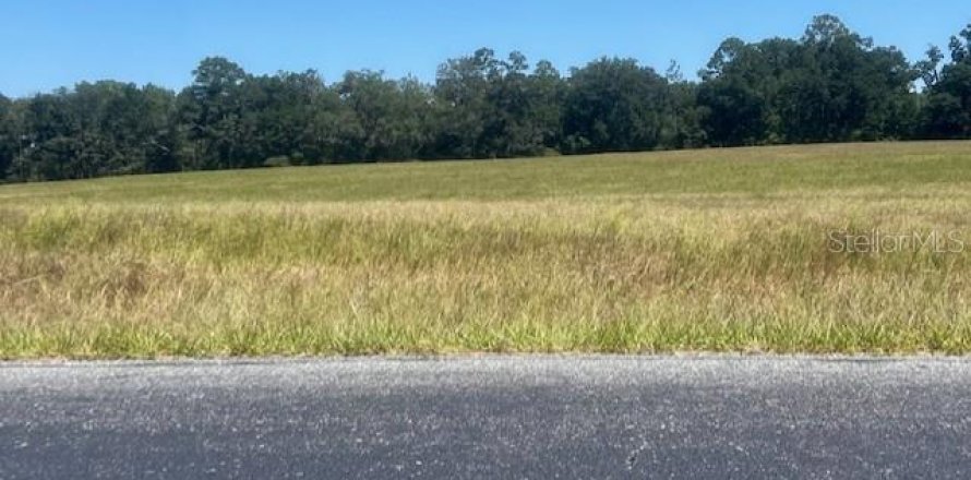 Terreno en Bell, Florida № 1905176