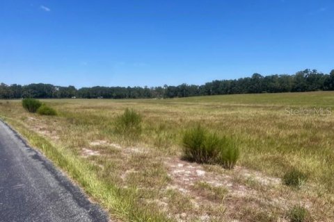 Terreno en venta en Bell, Florida № 1905176 - foto 3