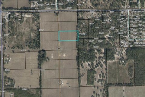 Terreno en venta en Bell, Florida № 1905176 - foto 9