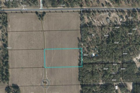 Terreno en venta en Bell, Florida № 1905176 - foto 10