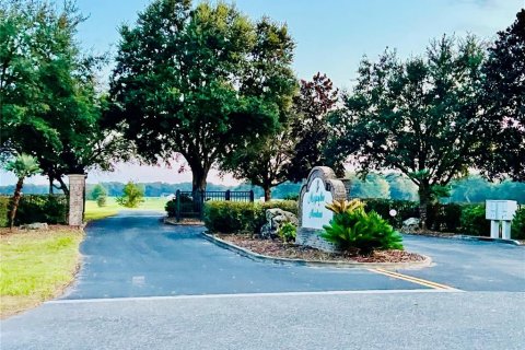 Terreno en venta en Bell, Florida № 1905176 - foto 6