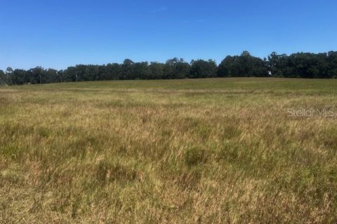 Terreno en venta en Bell, Florida № 1905176 - foto 4