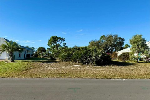 Land in Rotonda, Florida № 2122794