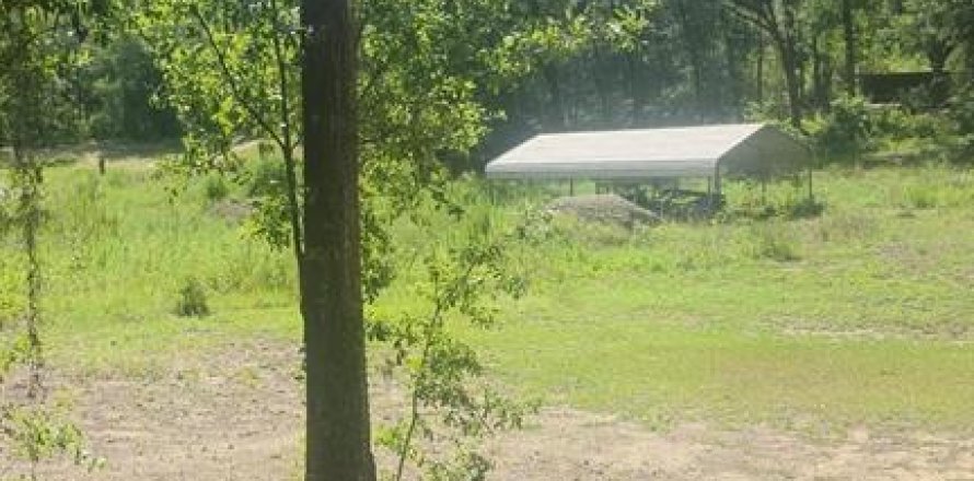 Land in Ocala, Florida № 1853122