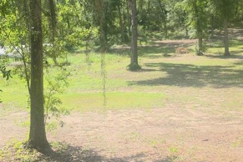 Land in Ocala, Florida № 1853122 - photo 3