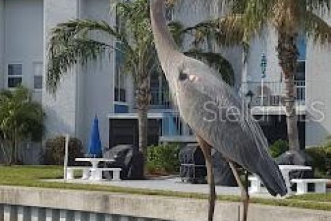 Condo in Madeira Beach, Florida, 1 bedroom  № 1615494 - photo 5