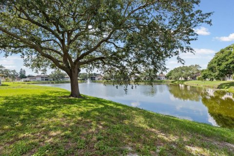 Condo in Holiday, Florida, 1 bedroom № 2209203 - photo 4