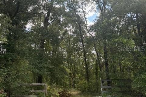 Terreno en venta en Fort White, Florida № 1901344 - foto 7