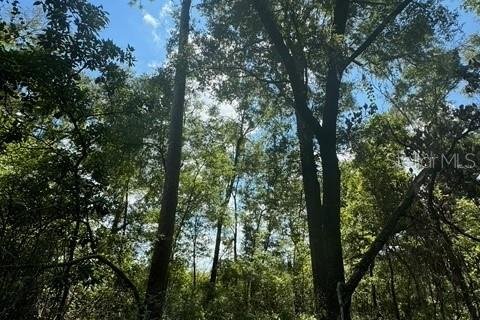 Terreno en venta en Fort White, Florida № 1901344 - foto 17