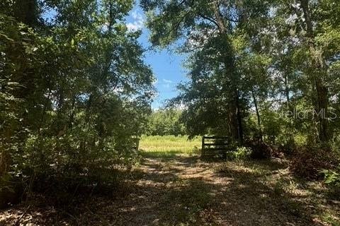 Terreno en venta en Fort White, Florida № 1901344 - foto 24